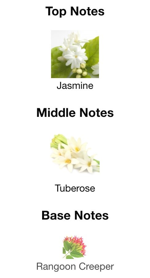 Gucci Bloom Notes